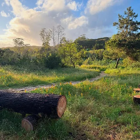 Coastal Garden Paradise Retreat- 6 Min From The Pensjonat