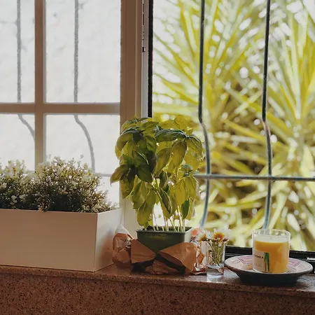 Coastal Garden Paradise Retreat- 6 Min From The *