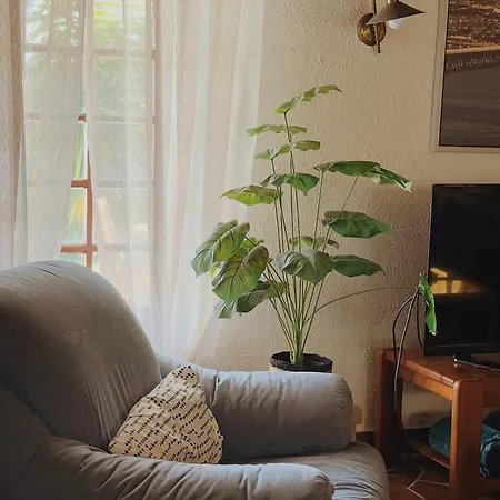 Coastal Garden Paradise Retreat- 6 Min From The * Charneca