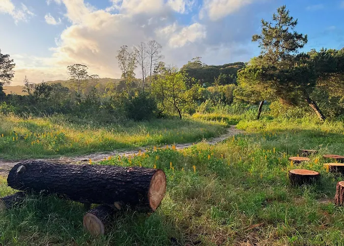 Coastal Garden Paradise Retreat- 6 Min From The بيت ضيافة